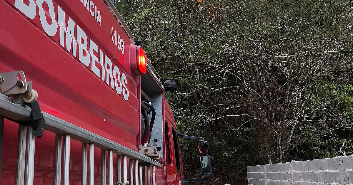 Bombeiros controlam incêndio em área de vegetação em Ubatuba