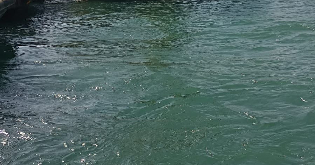 Vazamento de óleo no mar em S.S é encoberto por órgãos responsáveis
