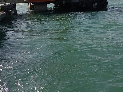 Vazamento de óleo no mar em S.S é encoberto por órgãos responsáveis