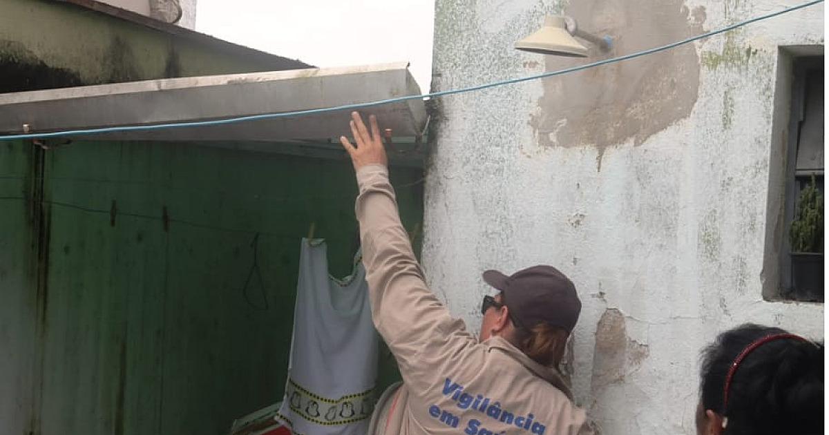 Caso positivo de dengue alerta autoridades para combate ao Aedes aegypti em Caraguatatuba