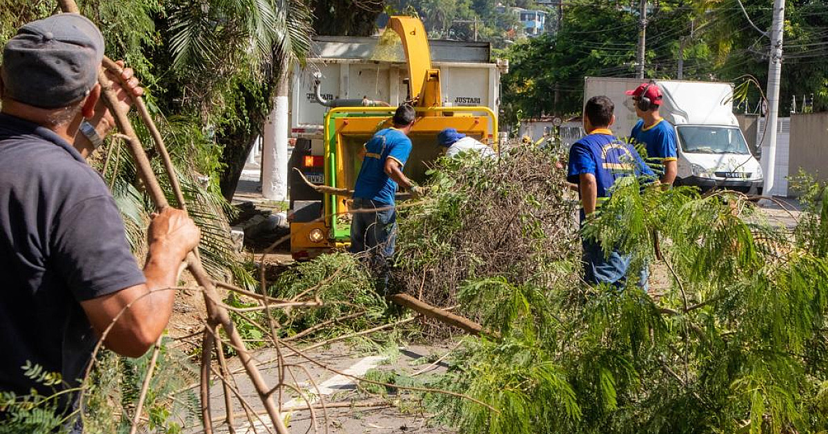 Prefeitura realiza serviços de podas de árvores no bairro Praia Deserta