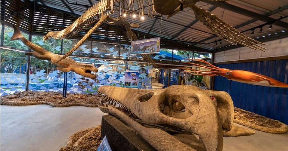 Museu da Vida Marinha é opção de passeio nestas férias em Ubatuba