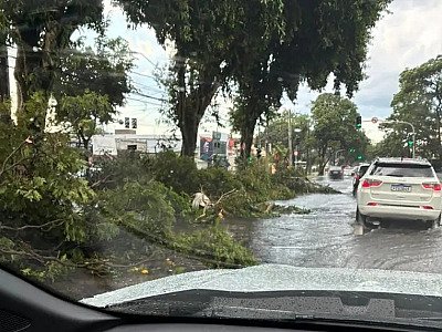 Primeira semana de 2026 deve ter chuvas intensas na RMVale, alerta Defesa Civil