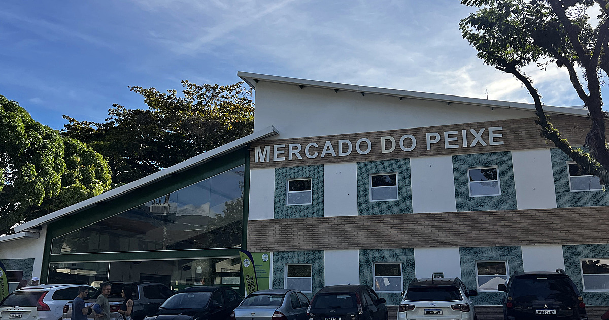 30º Festival do Camarão ganha programação especial no Mercado do Peixe com pratos especiais e música ao vivo