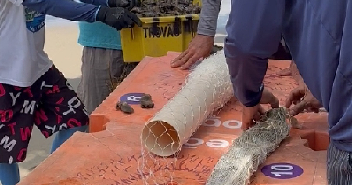 Prefeitura de Ilhabela e AMESP realizam ação socioambiental com jovens da baía de Castelhanos