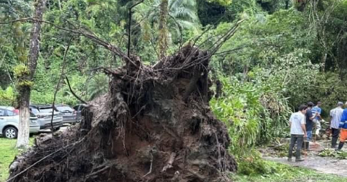 Com pouca chuva, famílias deixam abrigo e voltam para a casa na costa sul de S.S