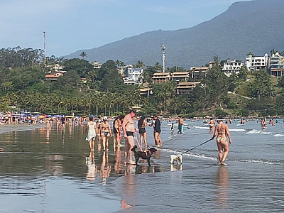 Prefeitura de São Sebastião alerta tutores de pets sobre proibição de animais domésticos na praia