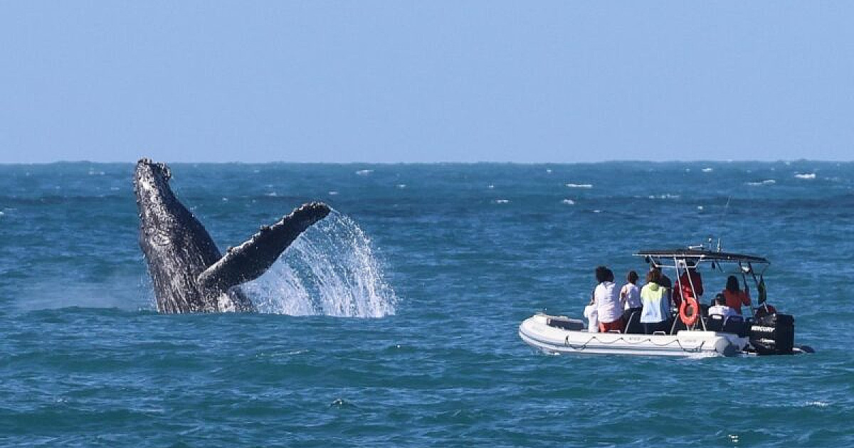 Ilhabela é selecionada para disputar prêmio nacional de boas práticas públicas