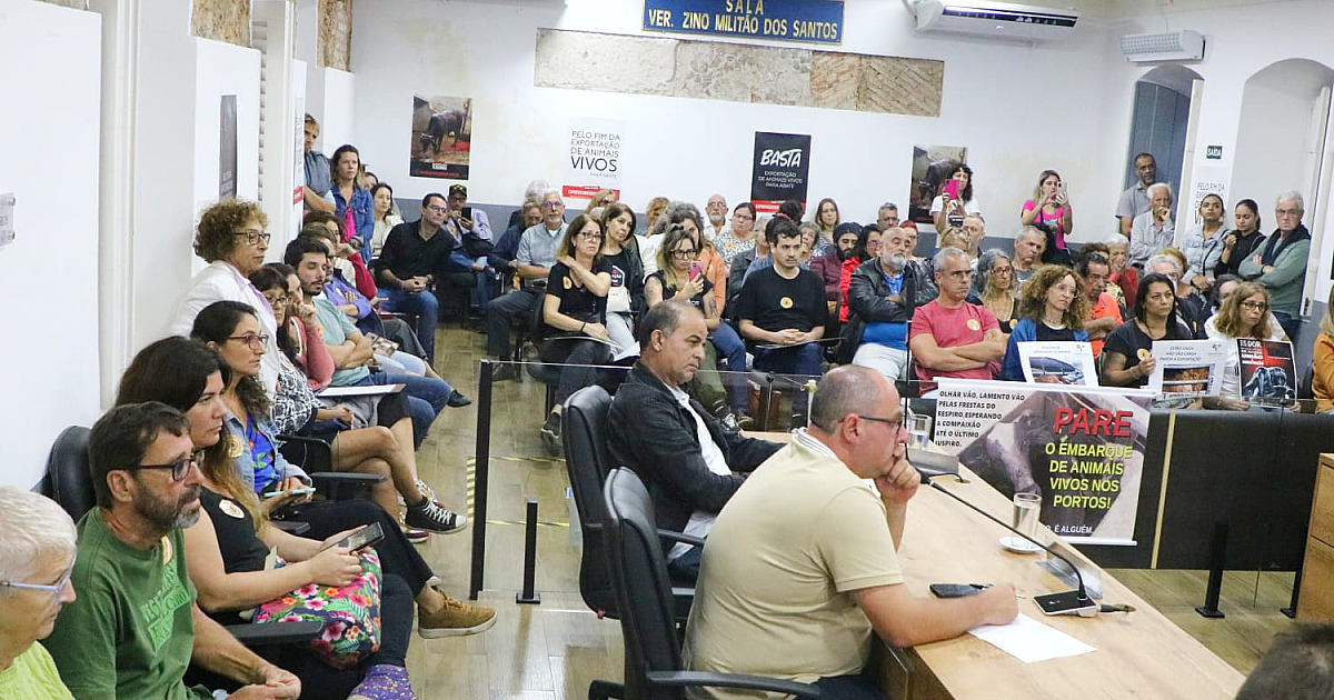 Seminário discute transporte de carga viva no porto de São Sebastião