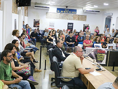 Seminário discute transporte de carga viva no porto de São Sebastião