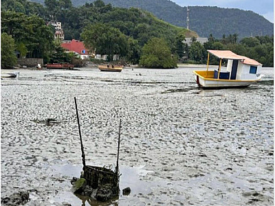 Araçá continua ameaçado por esgoto clandestino em S.S