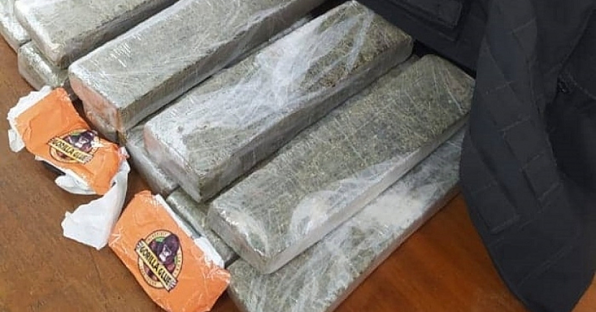 Polícia Municipal  prende traficante com carga de maconha avaliada em R$12 mil na costa sul de São Sebastião