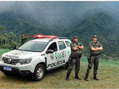 Operação Dia da Árvore fiscaliza origem e transporte de madeira no LN