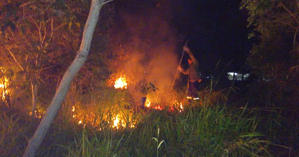 Incêndio de grandes proporções atinge Morro do Canta Galo, em Ilhabela