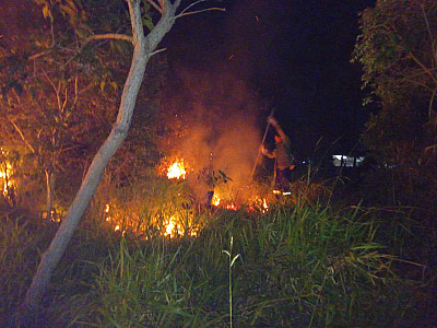 Incêndio de grandes proporções atinge Morro do Canta Galo, em Ilhabela