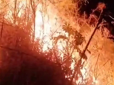 Incêndio destrói 12 mil m² de mata nativa em São Sebastião