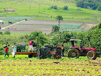 Agro tem superávit de R$ 10 bi, aumenta exportações e puxa alta do PIB de SP em 2023