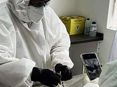 Secretaria Estadual confirma: ave localizada na Martim de Sá está com gripe aviária