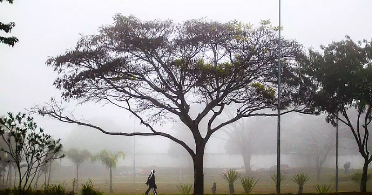 Onda de frio: Vale tem 3 cidades entre as mais frias de São Paulo