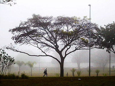 Onda de frio: Vale tem 3 cidades entre as mais frias de São Paulo