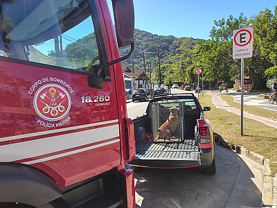 Fogo consome 2 mil metros quadrados de vegetação em Ilhabela