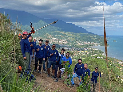 Ilhabela planta mais de 500 árvores nativas no Morro dos Mineiros