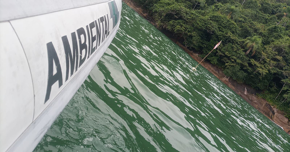 Ambiental recolhe mais uma “rede fantasma” e salva a vida de filhote de raia ameaçada de extinção