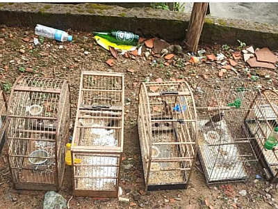 Polícia Ambiental desarticula atividades criminosas dentro do Parque Estadual da Serra do Mar em Ubatuba
