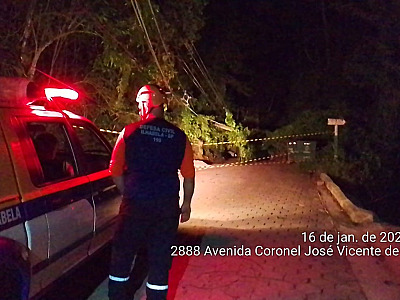 Estrada de Castelhanos de Ilhabela é interditada devido à queda de árvores