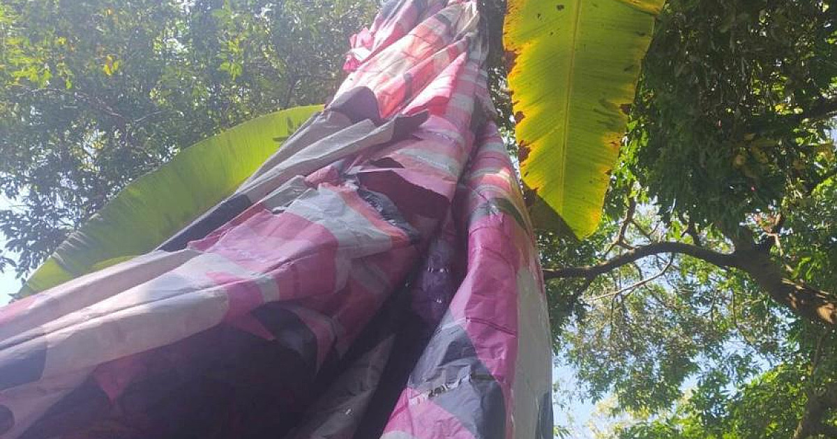 Balão aceso cai na mata e assusta moradores de Ilhabela