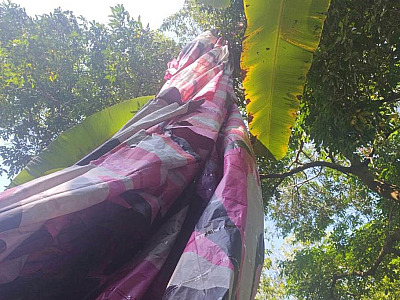 Balão aceso cai na mata e assusta moradores de Ilhabela