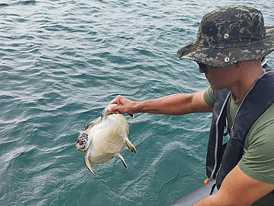 Polícia Ambiental flagra rede de pesca irregular e tartaruga morta na Costa Sul de São Sebastião