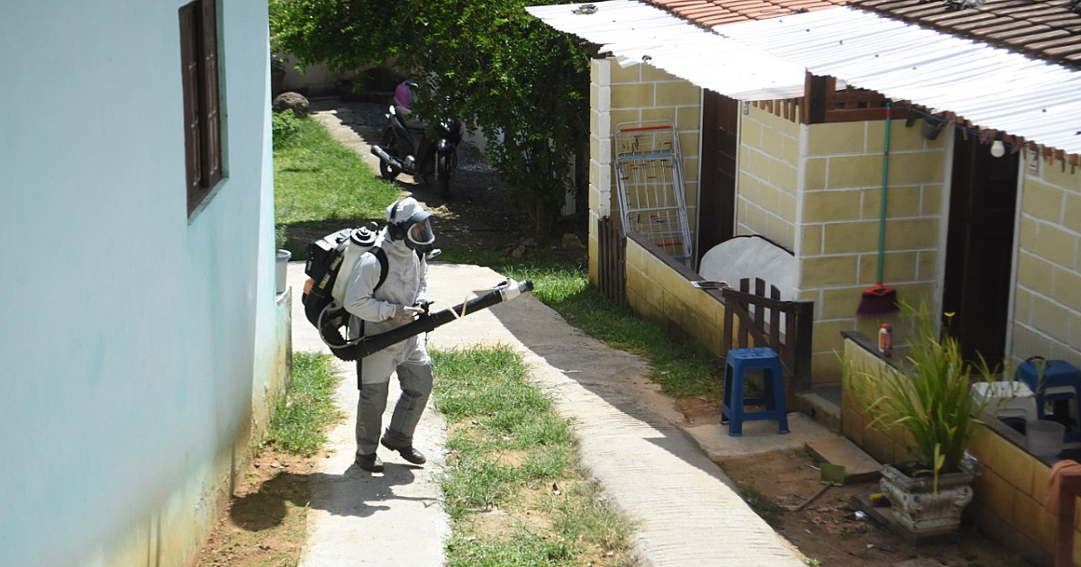 Prefeitura de Ilhabela atua fortemente no combate à dengue na cidade