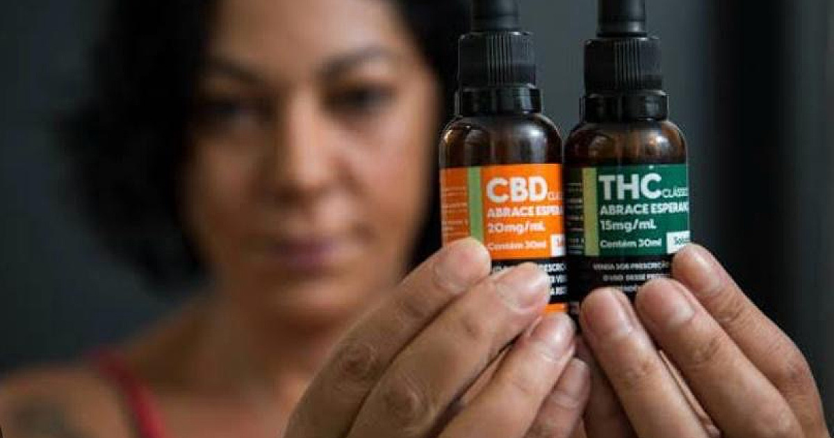 Tratamento com óleo de Cannabis avança e é realidade para muitas famílias brasileiras; Cannabis Culture chega ao Litoral Paulista