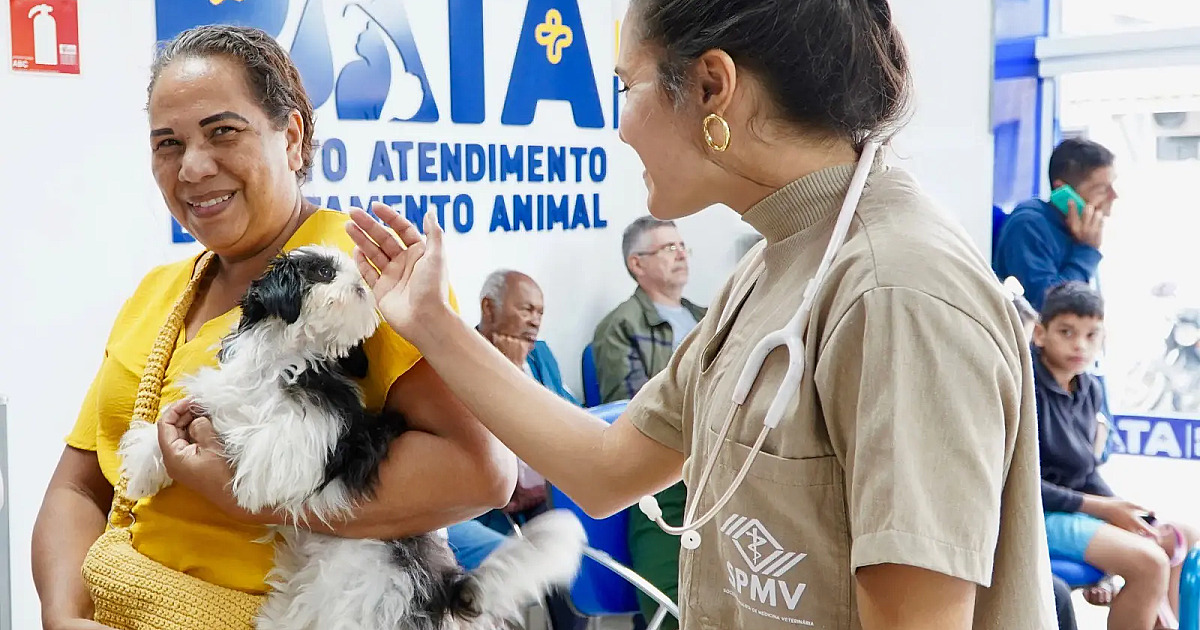 São Sebastião terá o 7º Mutirão de Castração neste sábado