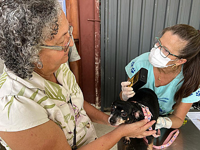 Programa Bem-Estar Animal dá sequência aos atendimentos nesta quarta-feira no bairro do Bexiga