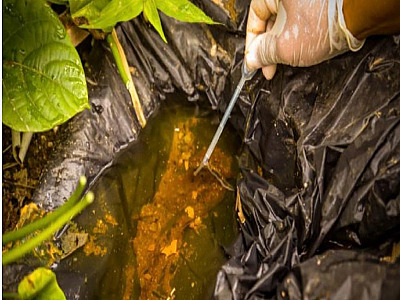 Dengue preocupa e causa mobilização em S.S para conter avanço do Aedes