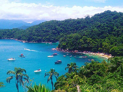 Unifesp anuncia descoberta do primeiro banco de rodolitos na região da Ilha das Couves em Ubatuba