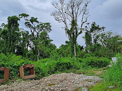 Imagem mostra áreas desmatadas sendo preenchidas com entulho para iniciar 'pavimentação' de ruas e acesso em Camburi.