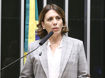 Deputada Federal Rosana Valle.