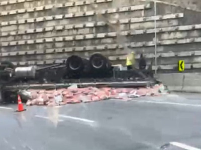 (Imagem: Reprodução)