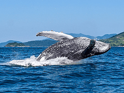 Ilhabela aposta em experiências e ações interativas na WTM Latin America 2026