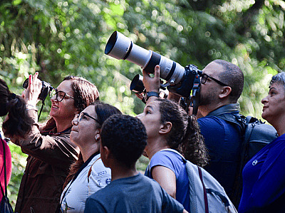 Ilhabela marca presença na maior feira de observação de aves da América Latina – Foto de Paulo Stefani
