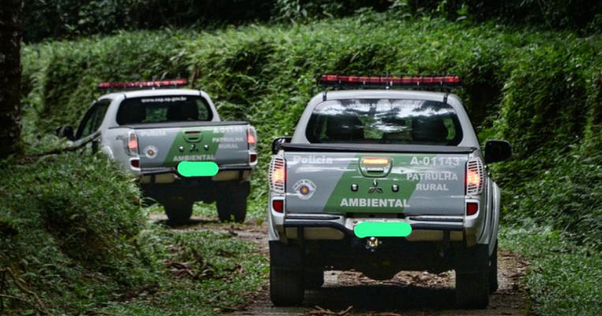Operação Venatores combate caça ilegal em áreas de Mata Atlântica em Ubatuba