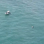 Buscas por vítimas desaparecidas em Ilhabela entram no terceiro dia