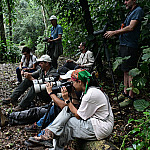 Turismo de observação de aves coloca Ilhabela na rota internacional do ecoturismo