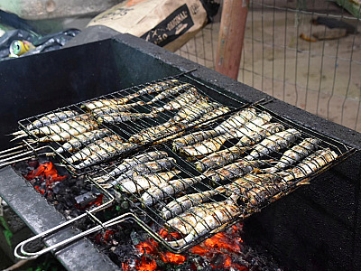 Pescadores de Ilhabela garantem sardinha fresca no tradicional festival.