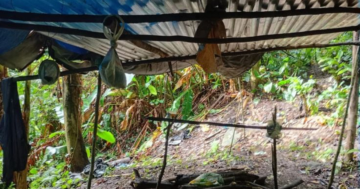 Caça ilegal: operação da PM Ambiental apreende espingarda e destrói armadilhas no Parque Serra do Mar em Caraguá