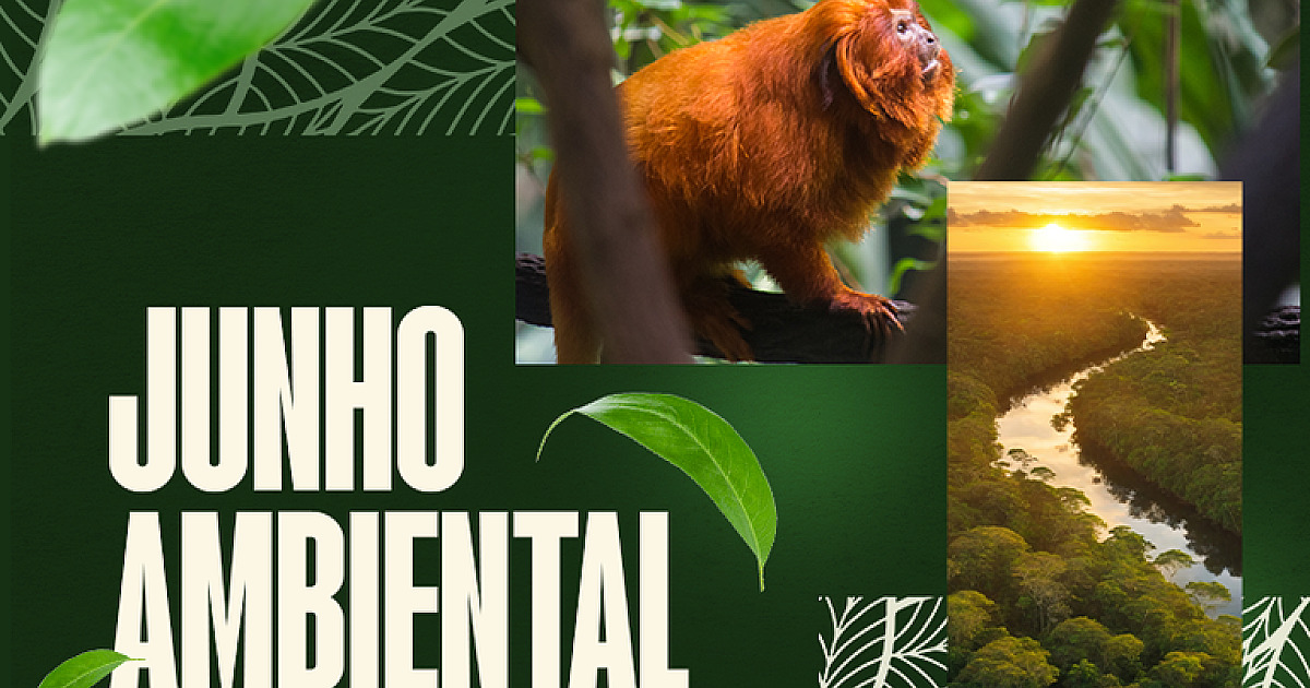 Junho Ambiental: iniciativa do MPF promove debate sobre a proteção dos biomas brasileiros