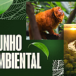 Junho Ambiental: iniciativa do MPF promove debate sobre a proteção dos biomas brasileiros